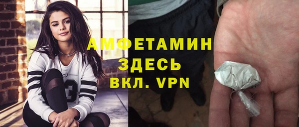 твердый Арсеньев