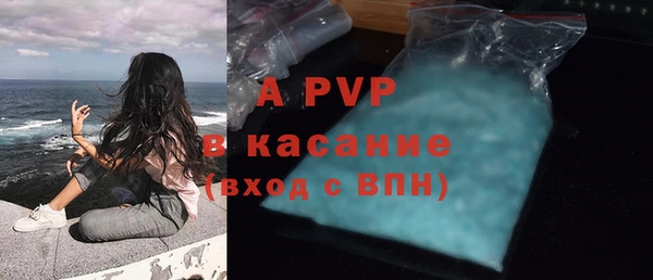 твердый Арсеньев