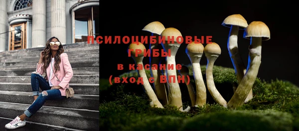 твердый Арсеньев