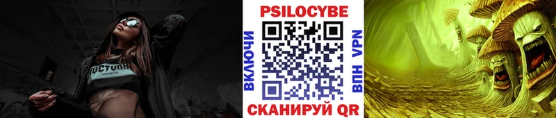 Галлюциногенные грибы Psilocybe  как найти   Армянск 